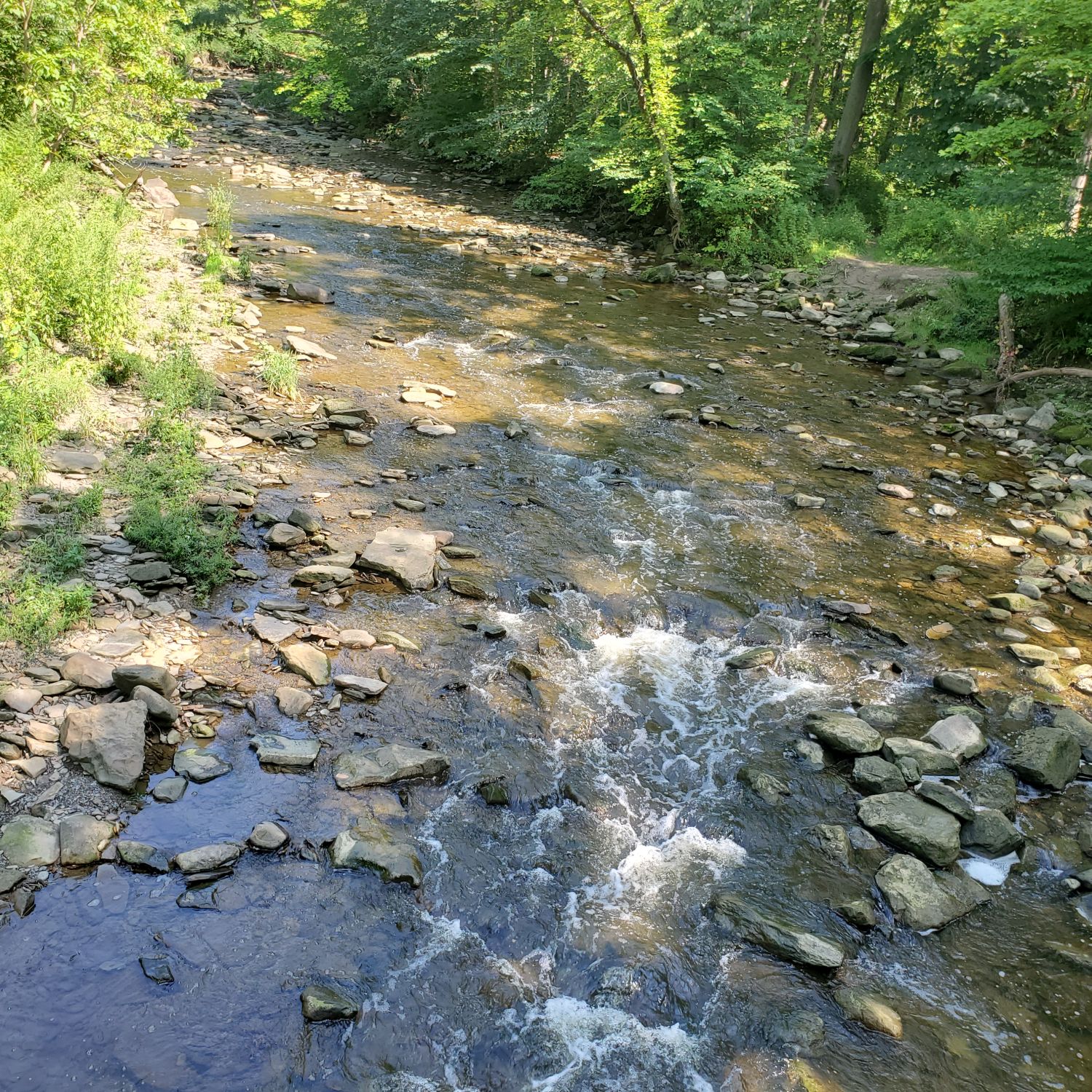 Stanford and Brandywine Gorge Trails 